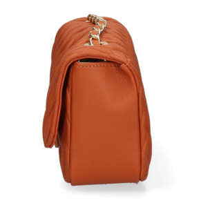 Gave Lux Borsa a tracolla