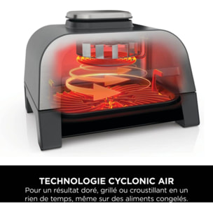 Grille-viande NINJA Foodi DG551EU thermosonde à poser, 40x27 cm