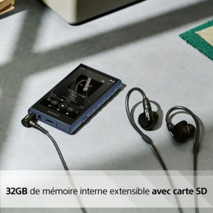 Lecteur MP3 SONY NW-A306 Noir - 32GB