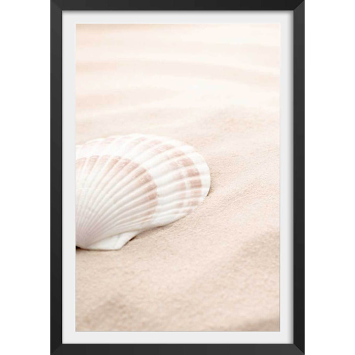 Poster coquillage Affiche + cadre en bois - Noir