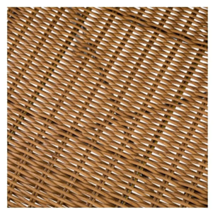 Lot de 2 chaises intérieur/extérieur en résine tressée naturelle - Sirivara