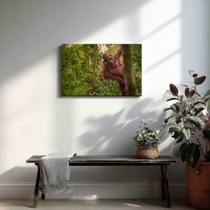 Tableau orang-outan et bébé dans la jungle Toile imprimée