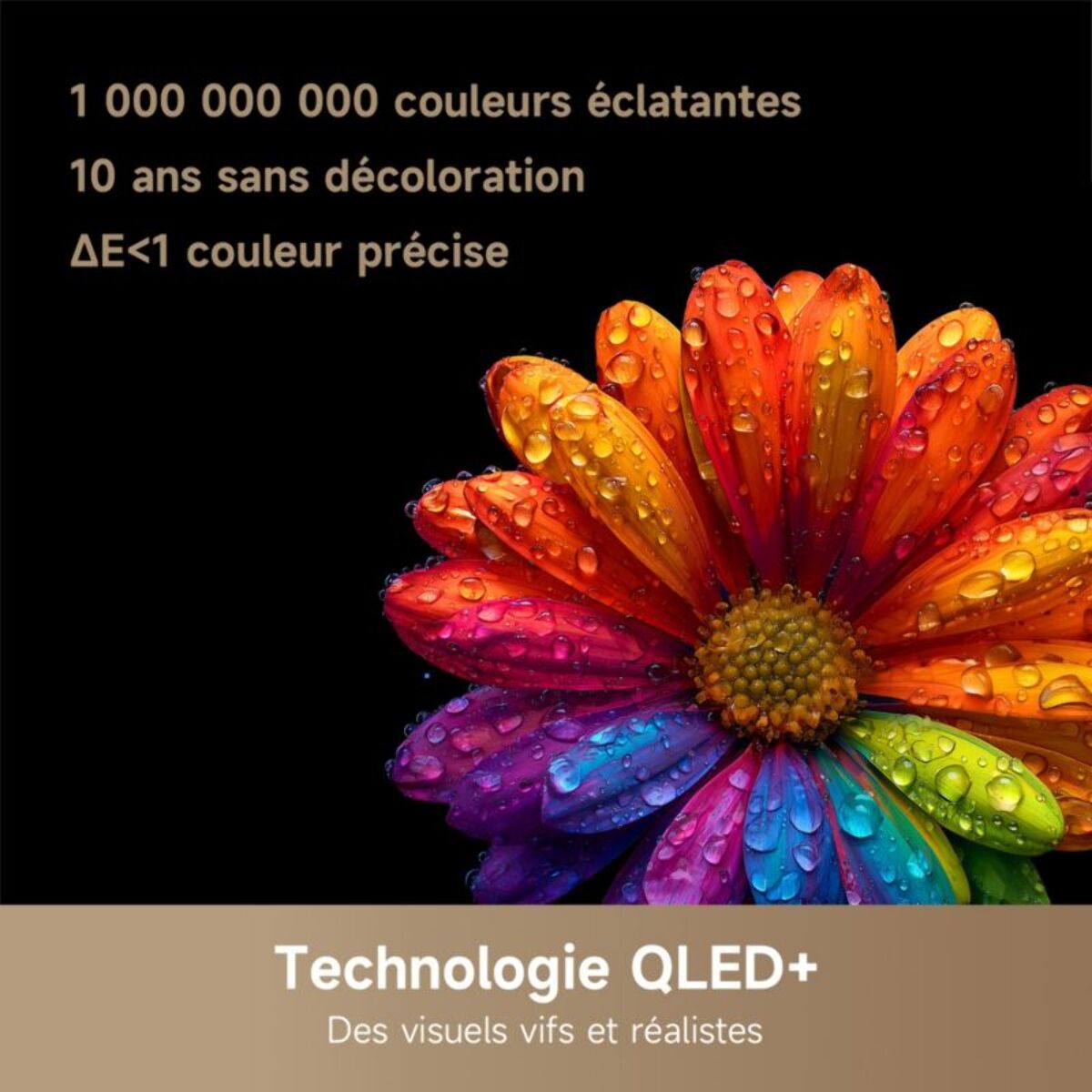 TV QLED DREAME 55Q100 (2026) 55" (140 cm)