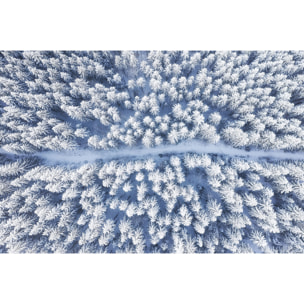 Tableau foret bleue de neige blanche  Toile imprimée
