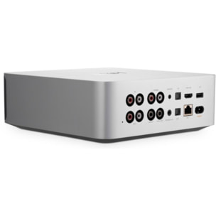 Lecteur réseau HiFi WIIM Ultra Silver