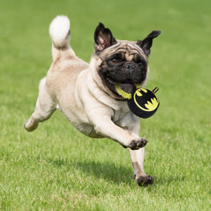 Gioco da mordere per cani Batman Fan Pets Multicolor