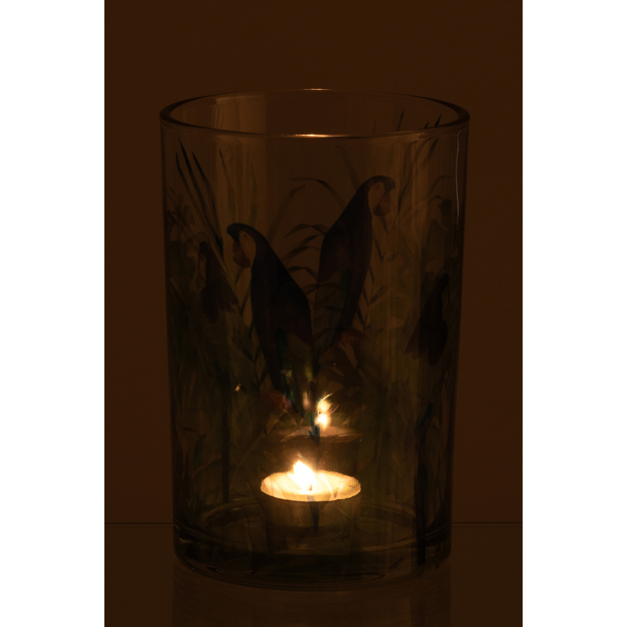 J-Line Photophore Perroquet - verre - bleu/vert - large