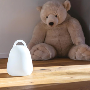 2 Lampe sans fil LIBERTY RGB H24CM