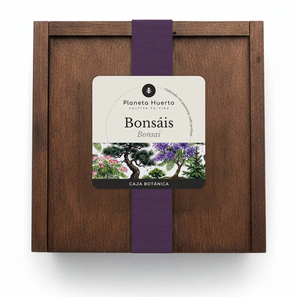 Kit de Cultivo de Bonsáis en Caja de Madera – Regalo Original Planeta Huerto