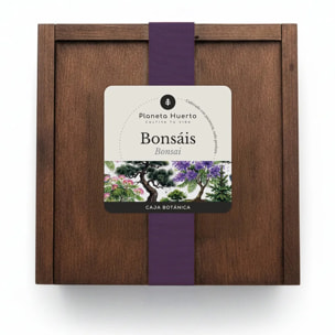 Kit de Cultivo de Bonsáis en Caja de Madera – Regalo Original Planeta Huerto
