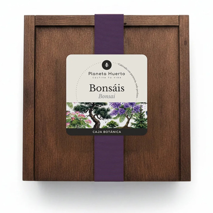 Kit de Cultivo de Bonsáis en Caja de Madera – Regalo Original Planeta Huerto