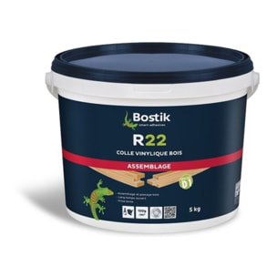 Colle R22 Lente BOSTIK - Fût de 20 kg - 30604651