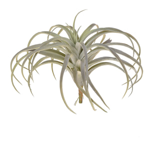 Tillandsia Con 32 Foglie. Altezza 27 Cm - Pezzi 3 - 28X27X28cm - Colore: Grigio - Bianchi Dino - Piante Artificiali