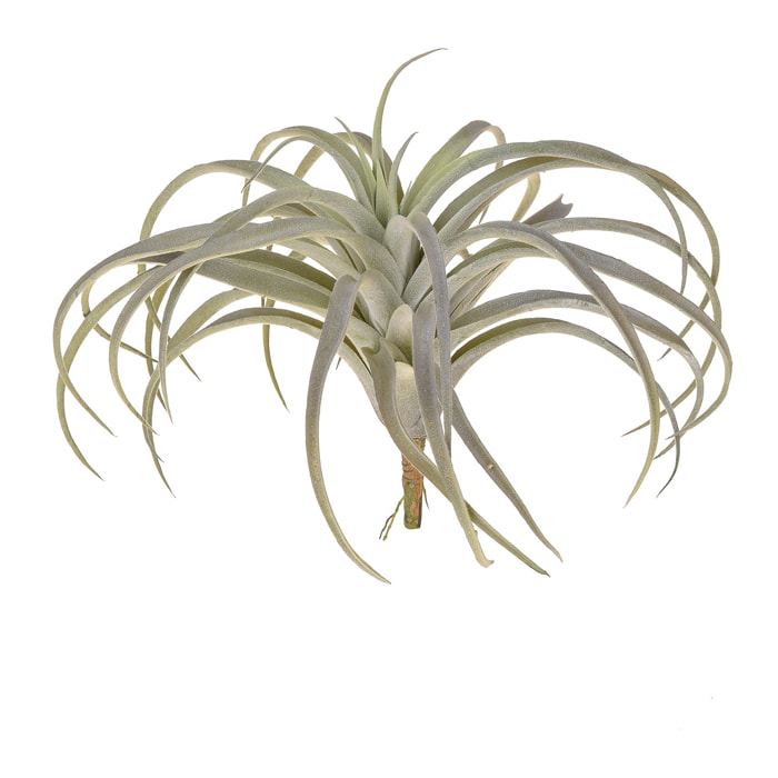 Tillandsia Con 32 Foglie. Altezza 27 Cm - Pezzi 3 - 28X27X28cm - Colore: Grigio - Bianchi Dino - Piante Artificiali