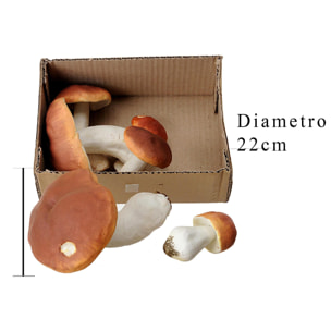 Porcini Assortiti 6 Pezzi. Altezza 22 Cm - Pezzi 3 - 22X10X15cm - Colore: Altro - Bianchi Dino - Frutta E Verdura