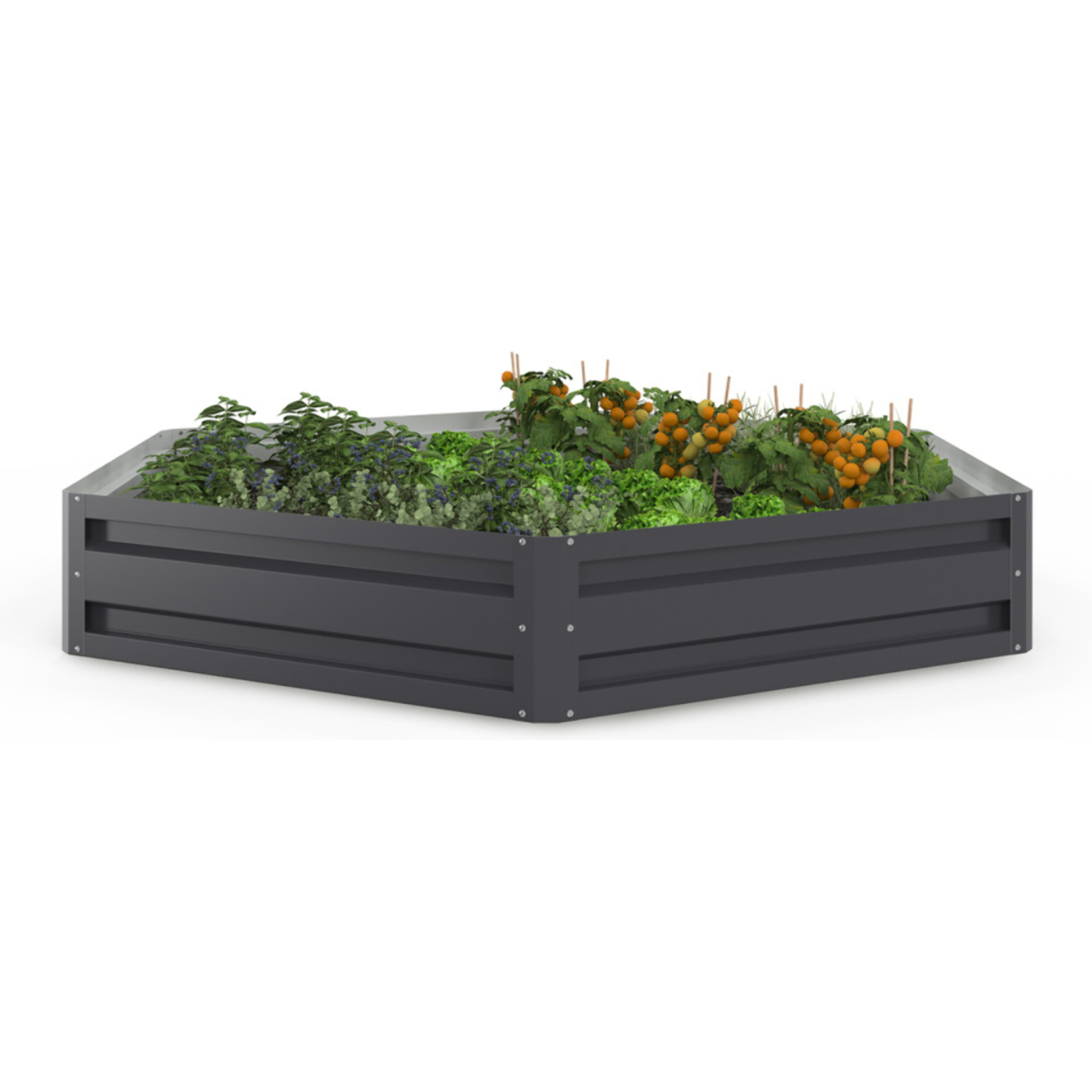 Carrés de potager hexagonaux en métal 120cm - lot de 2