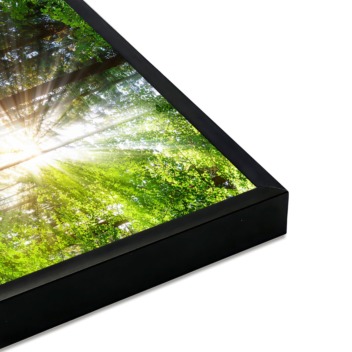 Affiche encadrée Forêt verte illuminée Affiche + cadre en métal - Noir