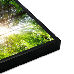 Affiche encadrée Forêt verte illuminée Affiche + cadre en métal - Noir