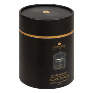 Bougie parfumée Ilae délice d épices 240g