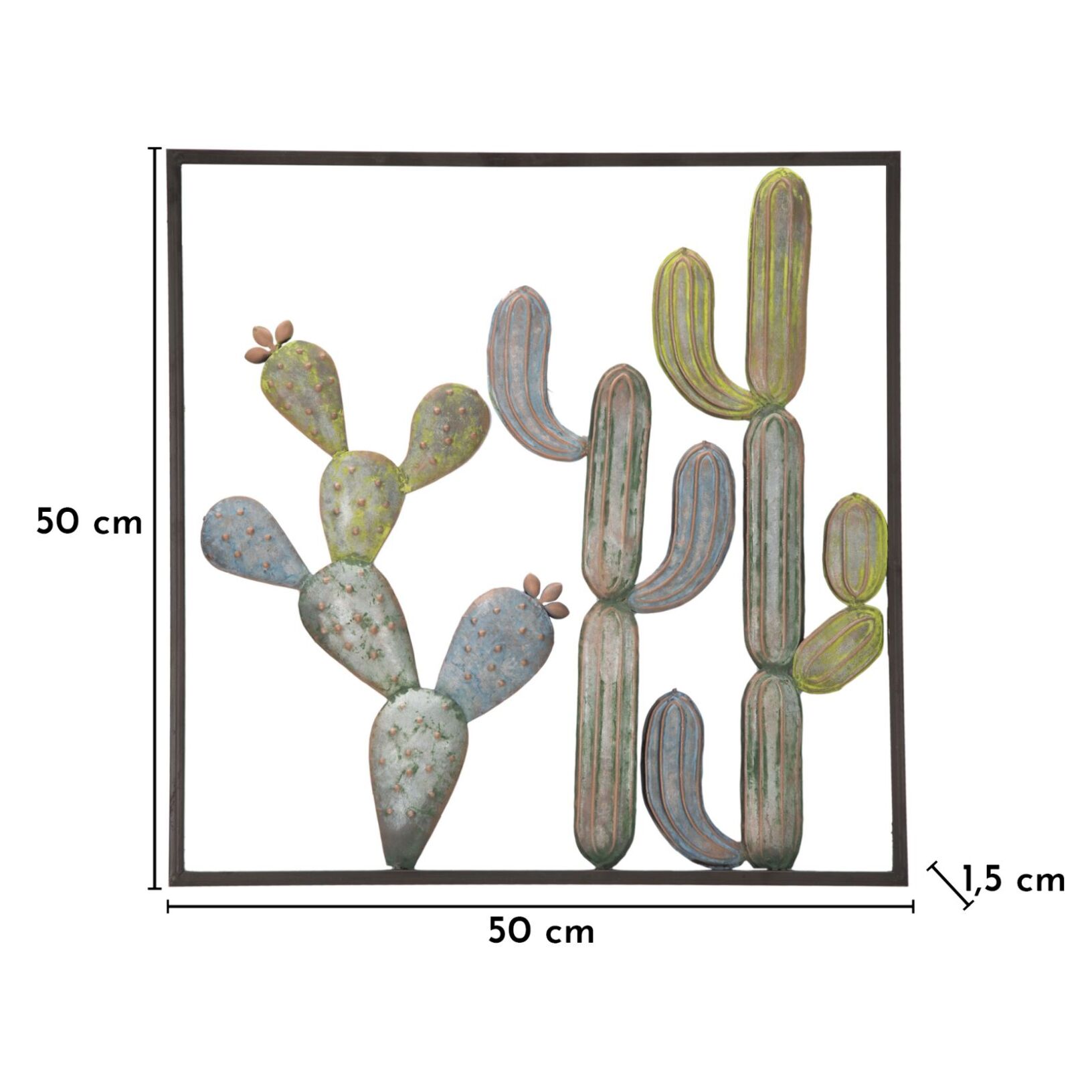 PANNELO IN FERRO CACTUS-FRAME -C- CM 50X1,3X50