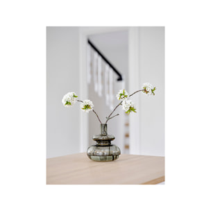 Vase Inu