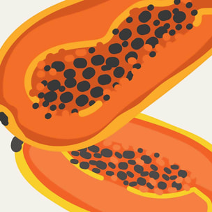 Tableau Papaye du Mexique Toile imprimée