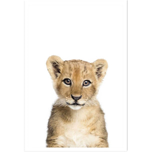 Affiche enfant bébé lionceau  Affiche seule