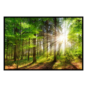 Affiche encadrée Forêt verte illuminée Affiche + cadre en métal - Noir