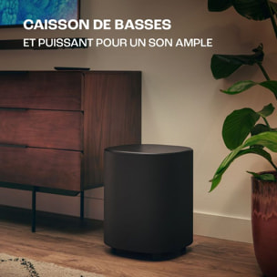 Barre de son JBL Bar 1000 MK2