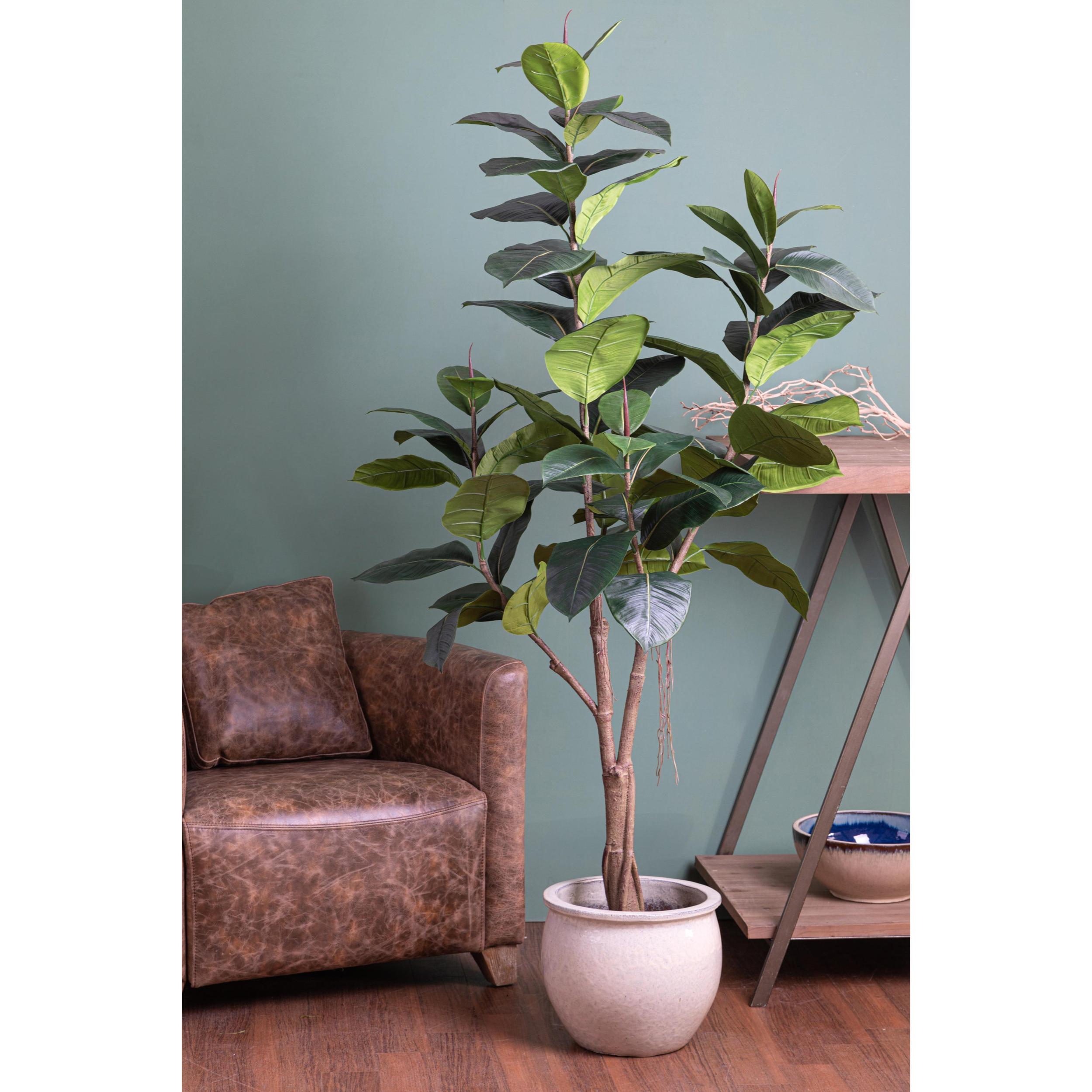 Ficus Rubber Con 65 Foglie. Altezza 180 Cm - Pezzi 1 - 35X180X35cm - Colore: Verde - Bianchi Dino - Piante Artificiali