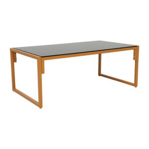 LANA Salon de jardin 5 places contemporain marron et coussins beiges