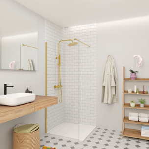 Walk-in 70x200cm Paroi en verre Crystal Glass® 8 mm anticalcaire, avec bras et profilés or (SATBWI70PRZ)