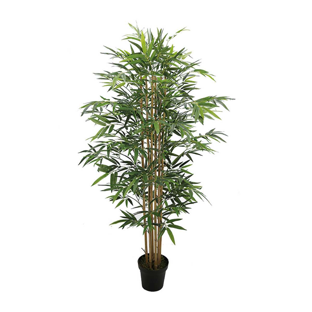 Planta Artificial Bambu 180 Cm