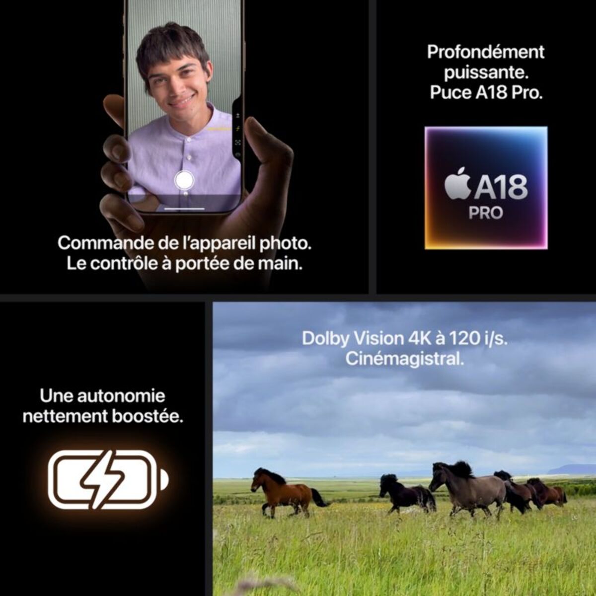 Smartphone APPLE iPhone 16 Pro Titane Naturel 1To
