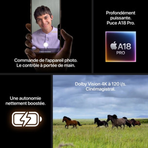 Smartphone APPLE iPhone 16 Pro Titane Naturel 1To