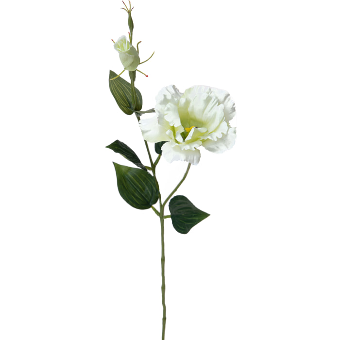 Lisianthus composto da 2 fiori. Altezza 60 Cm - Pezzi 12 - 14X60X14cm - Colore: Bianco - Bianchi Dino - Fiori Artificiali