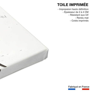 Tableau  black smoke tulip dream Toile imprimée