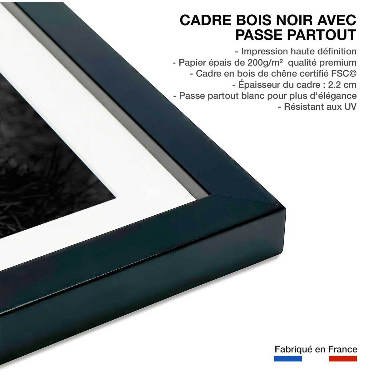 Affiche tigre assoupi dans son rayon de lumière Affiche + cadre en bois - Noir