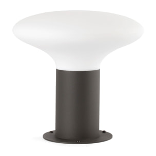 BLUBS 240 Sobremuro gris oscuro