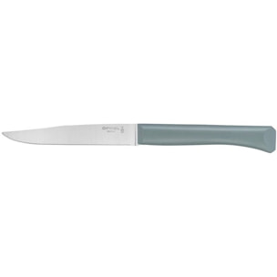 Couteau OPINEL de table x4 Tempete bleu canard ant