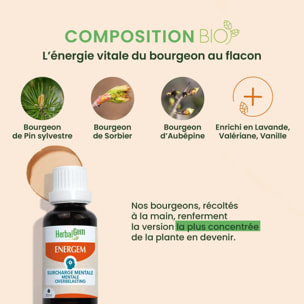 Herbalgem- EnerGem surcharge mentale - Bio - 30 ml