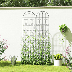 Treillis de jardin effet fer forgé pointe de fleur de lys  - 2 supports plantes grimpantes - 50 x 220 cm - métal époxy noir