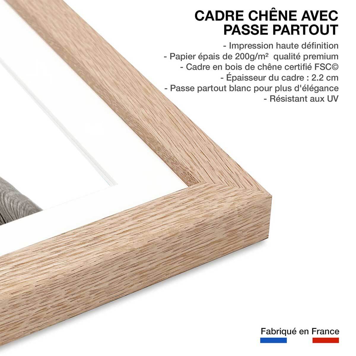 Affiche enfant bébé élephant  Affiche + cadre en bois - Chêne