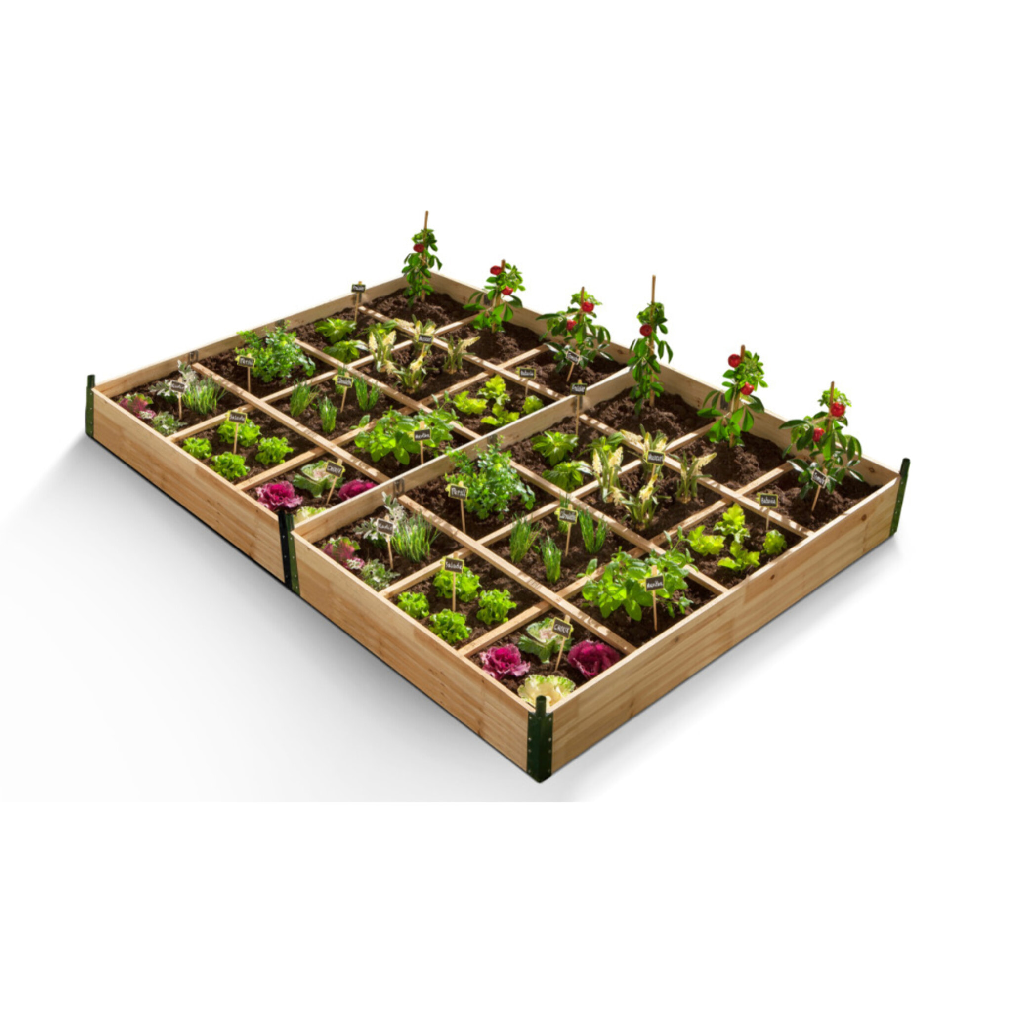 Serres de potager 12 compartiments Aroma en bois avec bâche - Lot de 2