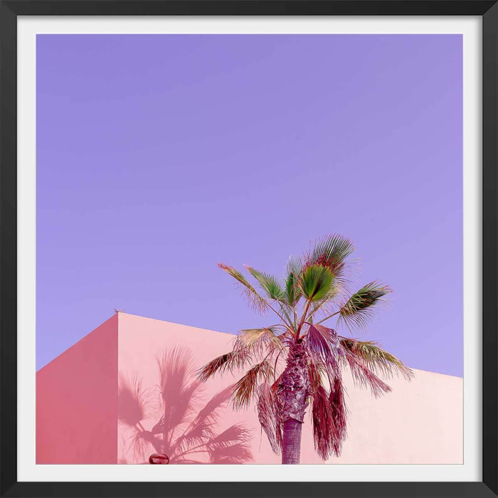 Affiche photo pink palma Affiche + cadre en bois - Noir