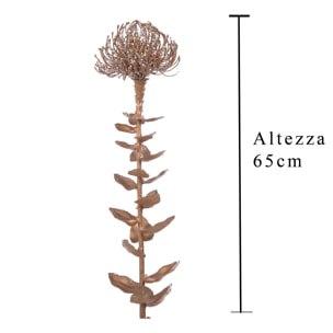 Magnolia - Pezzi 12 - 22xH50x22cm - Bianchi Dino SpA