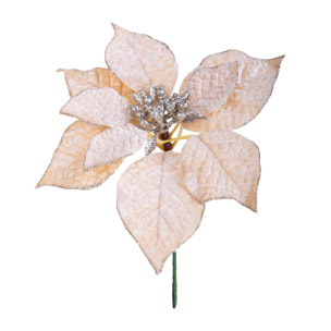 Pick stella - Pezzi 24 - 20xH21x20cm - Bianchi Dino SpA