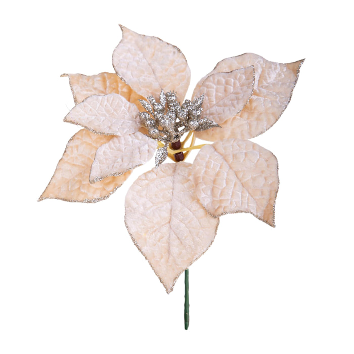 Pick stella - Pezzi 24 - 20xH21x20cm - Bianchi Dino SpA