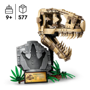 LEGO JURASSIC WORLD 76964 - FOSSILI DI DINOSAURO: TESCHIO DI T.REX