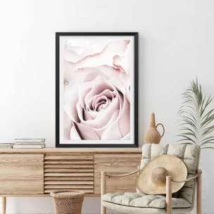 Affiche  rosa romantica Affiche sous cadre noir